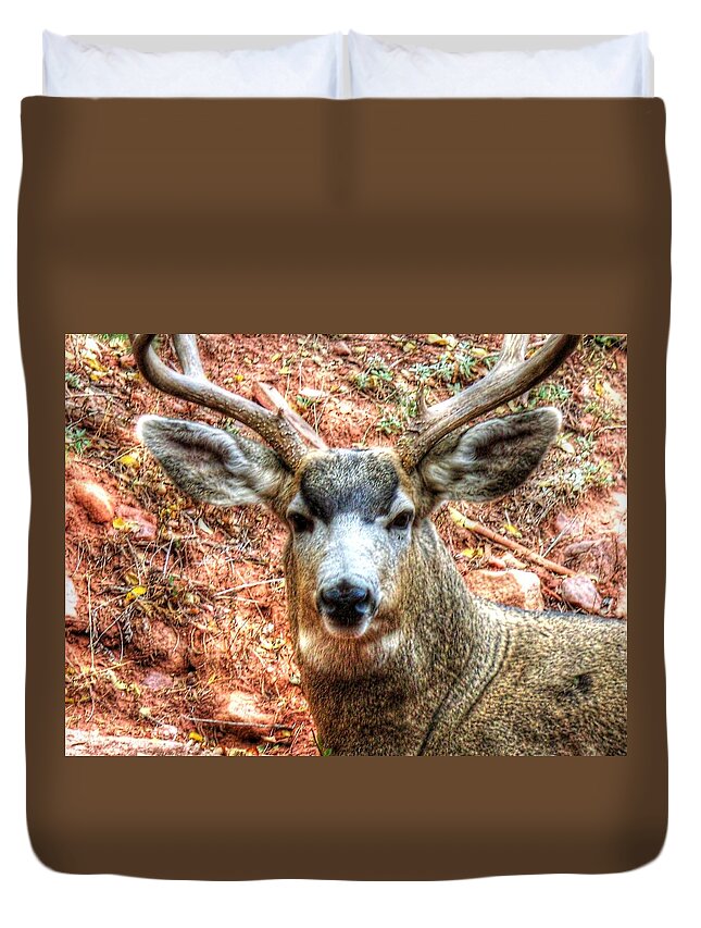 Deer Duvet Cover featuring the photograph The Buck I by Lanita Williams