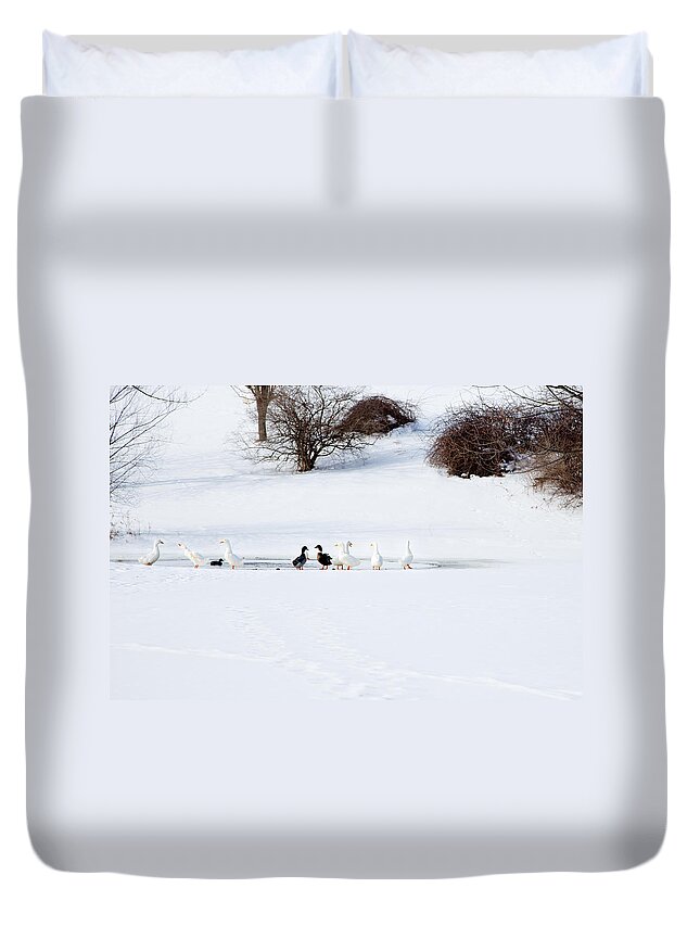 Honk Duvet Cover featuring the photograph The Chattering Gaggle by Courtney Webster