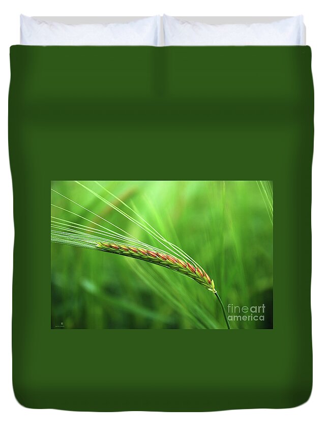 Corn Duvet Cover featuring the photograph The Corn by Hannes Cmarits