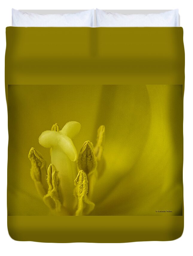 Tulips Duvet Cover featuring the photograph The Dance by Lucinda Walter