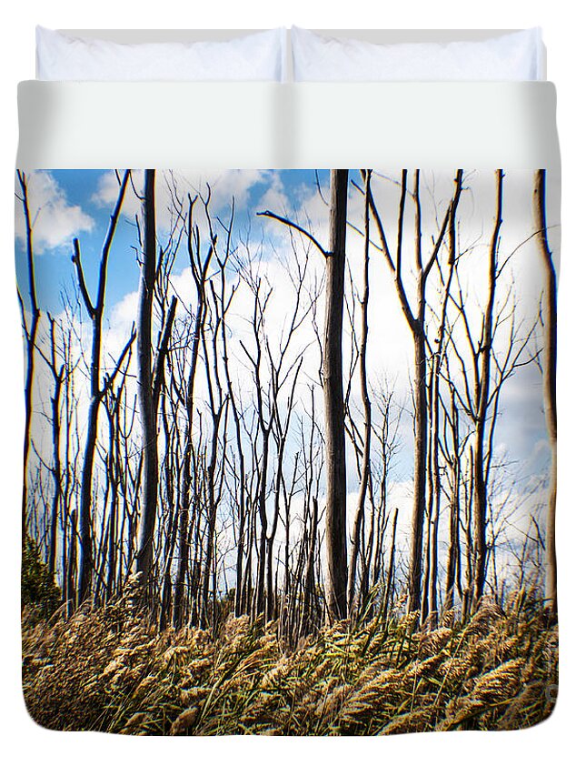 Marsh Duvet Cover featuring the photograph The Dead Marsh Forest by Verana Stark