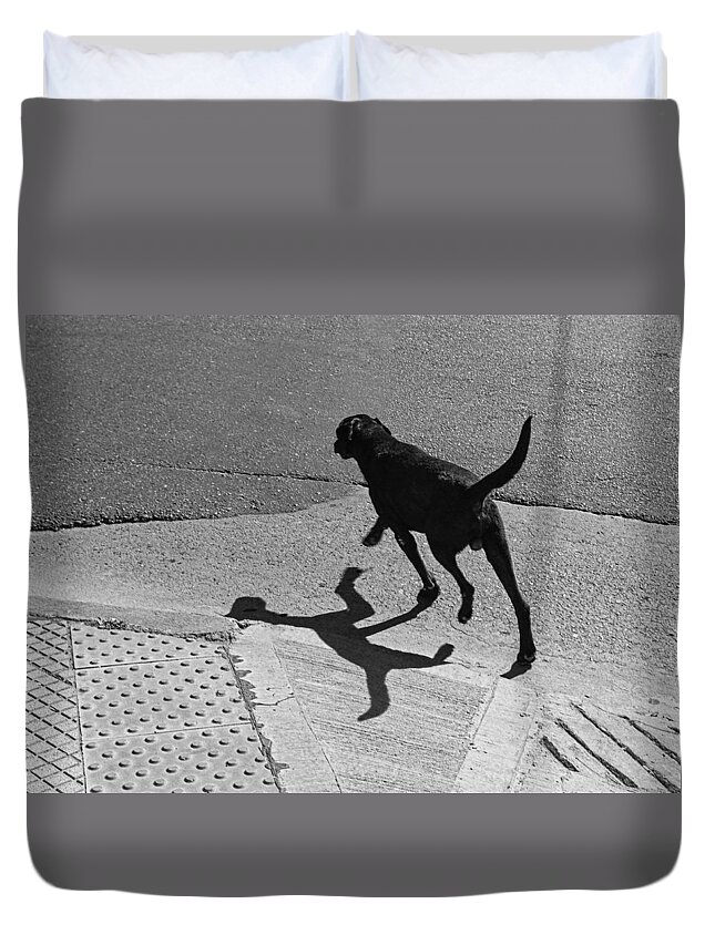 Dog Duvet Cover featuring the photograph The Dog -and The Cat- by Osvaldo Hamer
