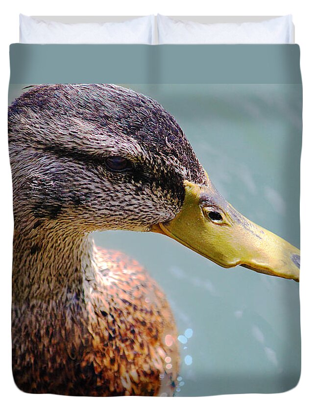 Animal Duvet Cover featuring the photograph The Duck by Milena Ilieva