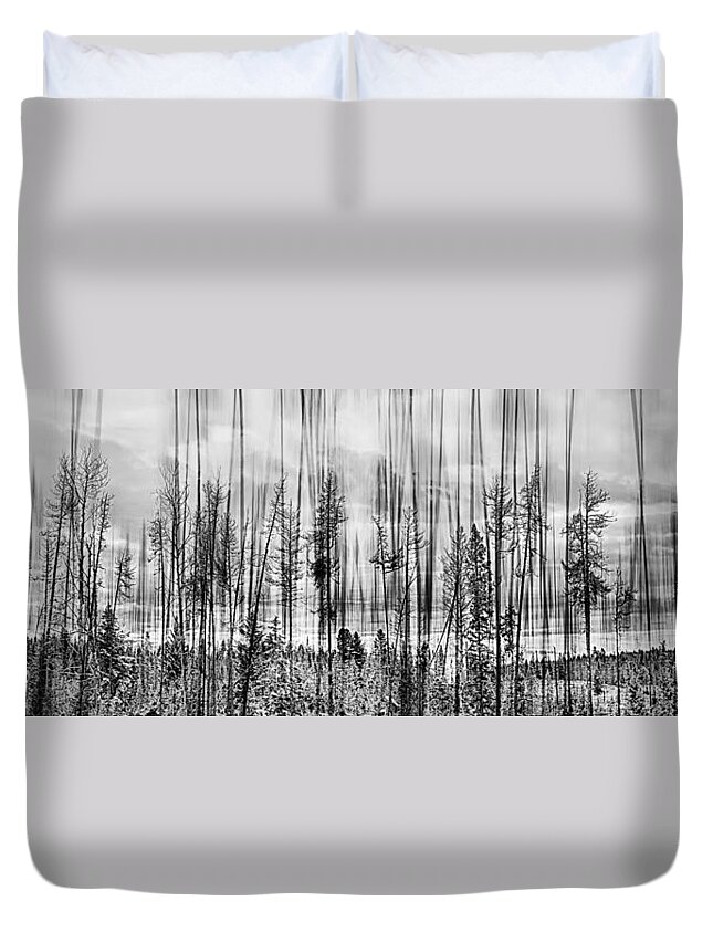 Forest Duvet Cover featuring the photograph The Edge Of The Clear-cut by Theresa Tahara