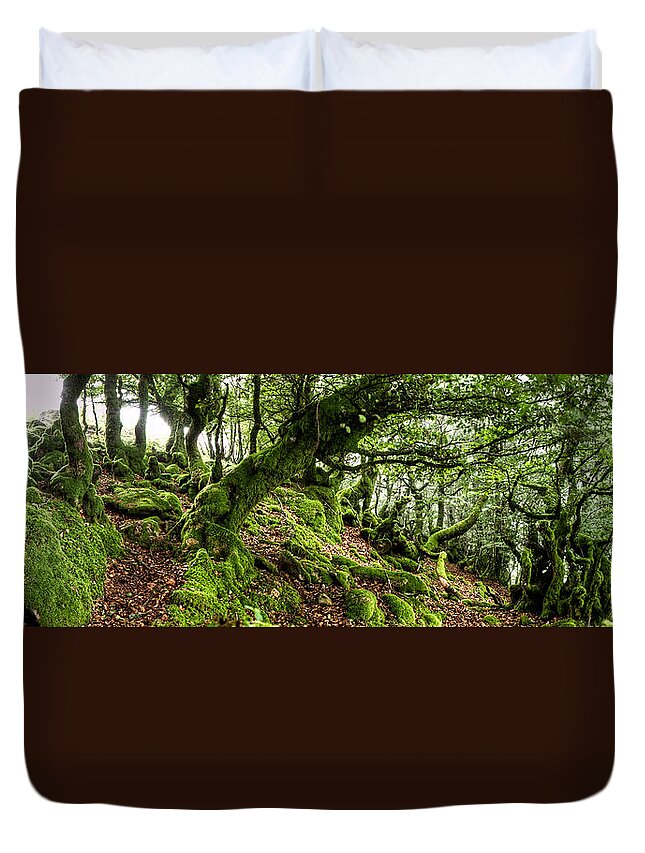 Forest Duvet Cover featuring the photograph The Elven forest No2 Wide by Weston Westmoreland
