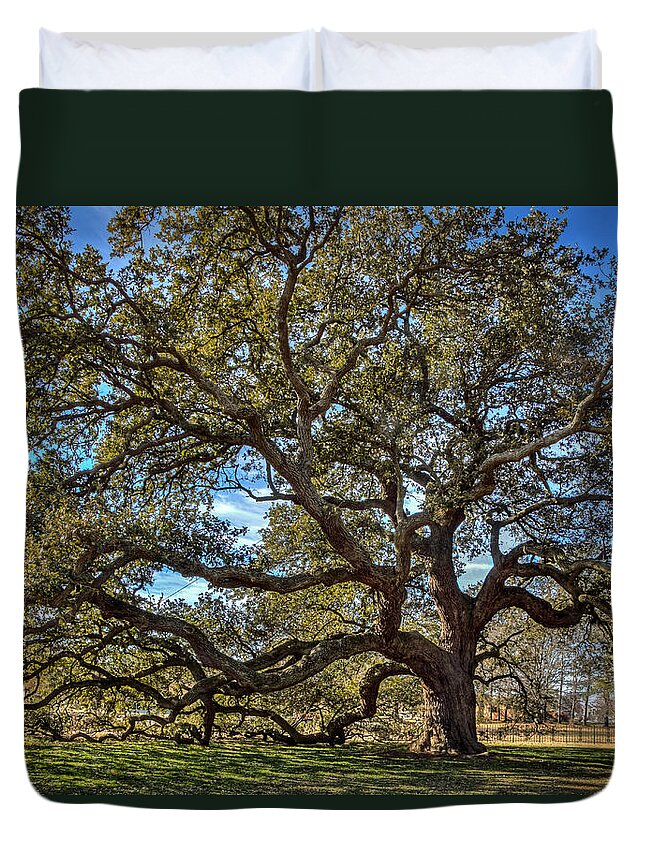 Emancipation Oak Duvet Cover featuring the photograph The Emancipation Oak Tree at HU by Jerry Gammon