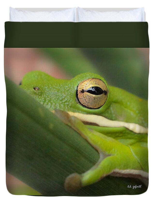 Frog Duvet Cover featuring the photograph The Eye Has It Squared by TK Goforth