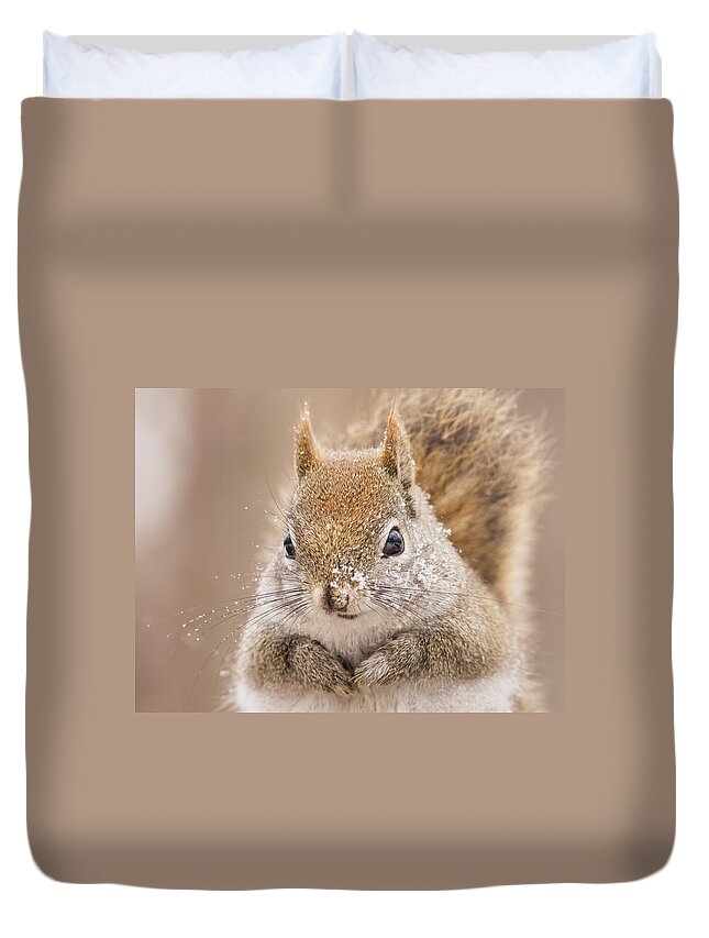 Animal Duvet Cover featuring the photograph The first day of spring by Mircea Costina Photography