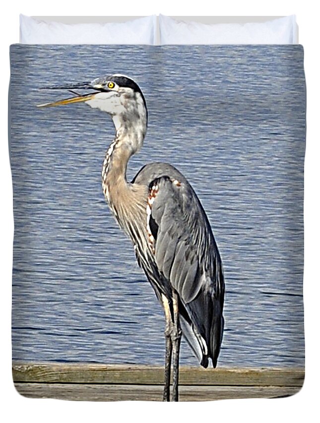 Great Blue Heron Duvet Cover featuring the photograph The Great Blue Heron Photo by Verana Stark