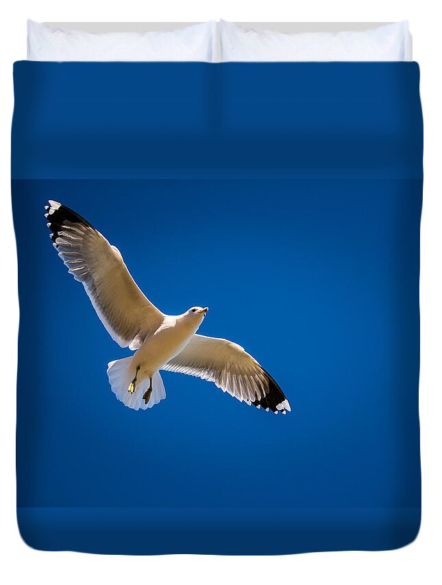 Gull Duvet Cover featuring the photograph The Gull by Janis Knight