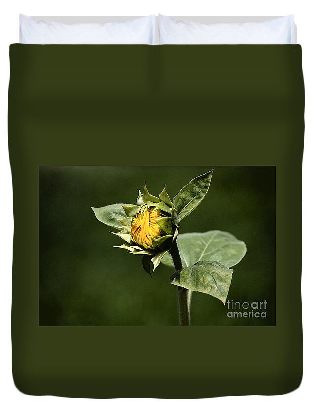 Bud Duvet Cover featuring the photograph The heliotropic likes the sun ... by Gwyn Newcombe