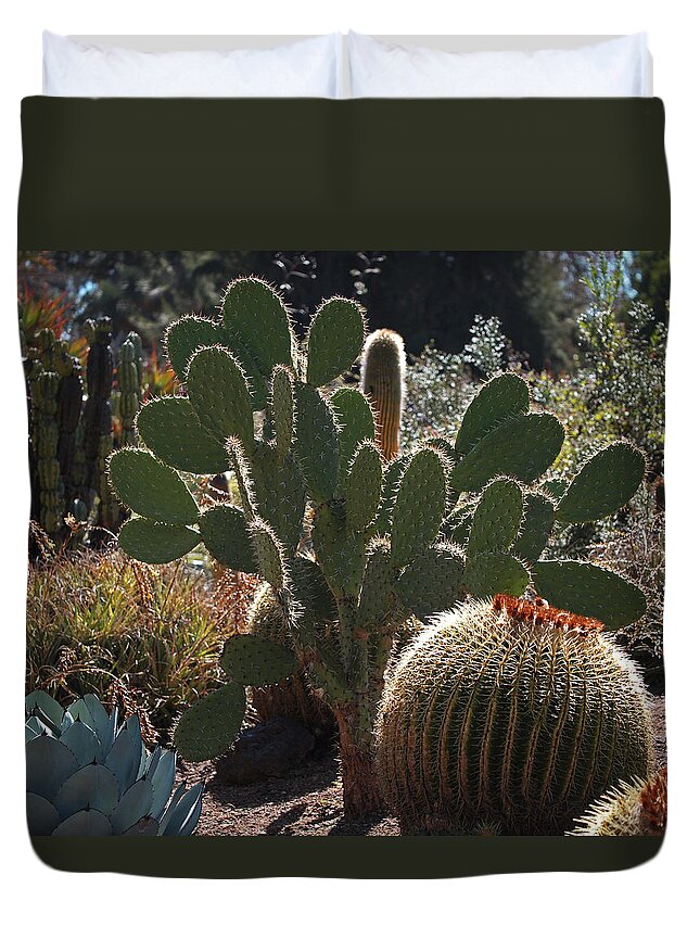 Desert Garden Duvet Cover featuring the photograph The Huntington Desert Garden by Rona Black