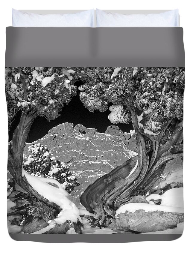 The Kissing Camels Rock Formation Duvet Cover featuring the photograph The Kissing Camels Framed By An Ancient Juniper by Bijan Pirnia