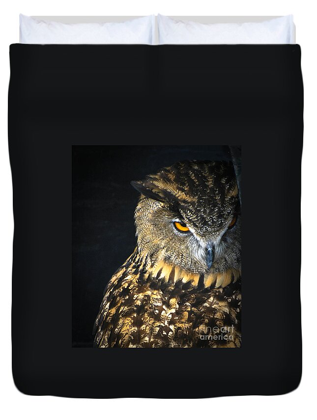 Owl Duvet Cover featuring the photograph The Look by Amy Porter
