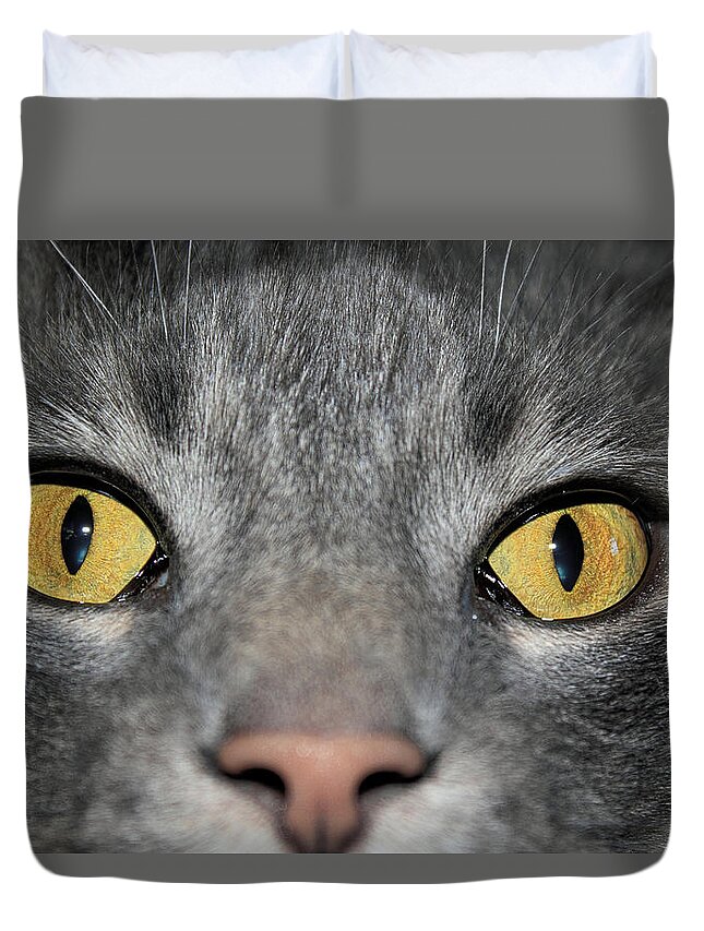 Cat Duvet Cover featuring the photograph The Look by Shane Bechler