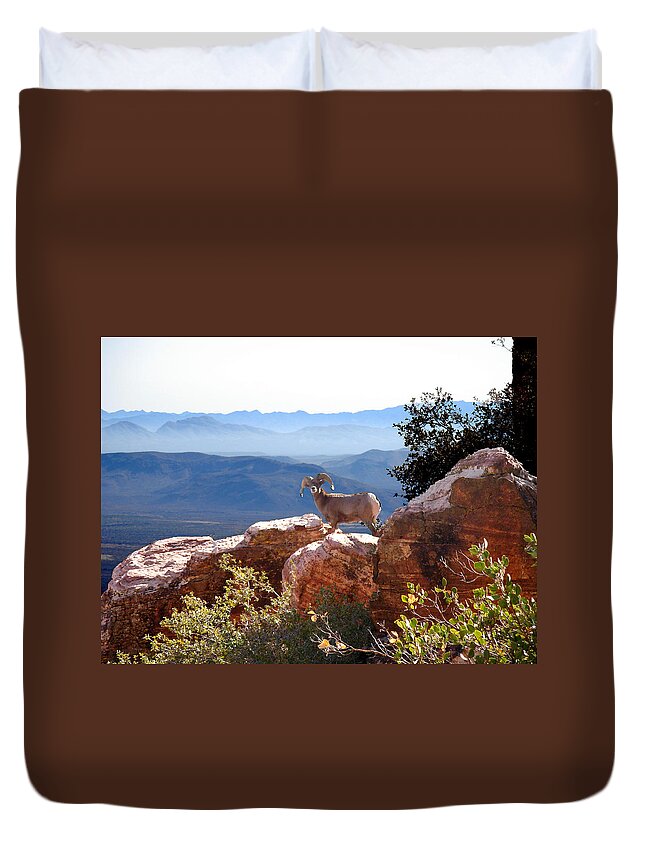 Lookout Duvet Cover featuring the photograph The Lookout by Alan Socolik