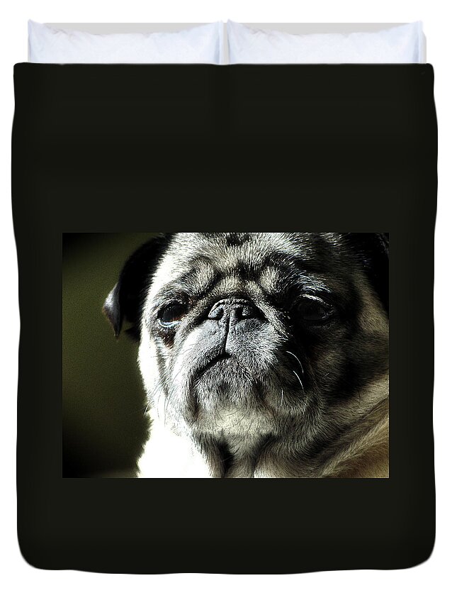 Dog Duvet Cover featuring the photograph The Matriarch by Michael Eingle