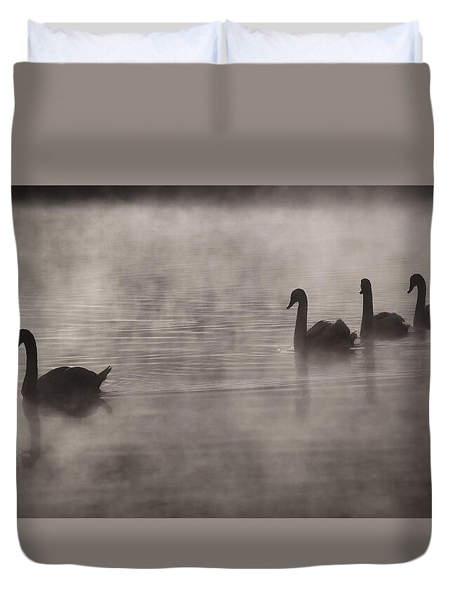 Ledgewood Pond Duvet Cover featuring the photograph The next generation by Eduard Moldoveanu