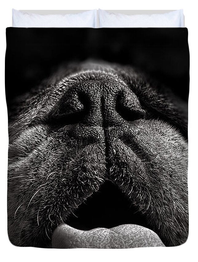 Dog Duvet Cover featuring the photograph The Nose Knows by Bob Orsillo