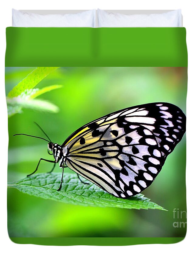 Butterfly Duvet Cover featuring the photograph The Paper Kite or Rice Paper or Large Tree Nymph butterfly also known as Idea leuconoe 2 by Amanda Mohler