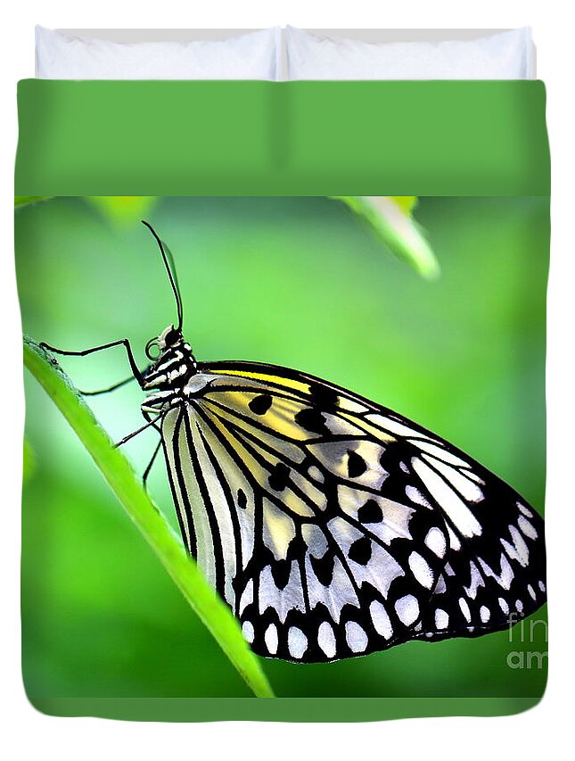 Butterfly Duvet Cover featuring the photograph The Paper Kite or Rice Paper or Large Tree Nymph butterfly also known as Idea leuconoe by Amanda Mohler