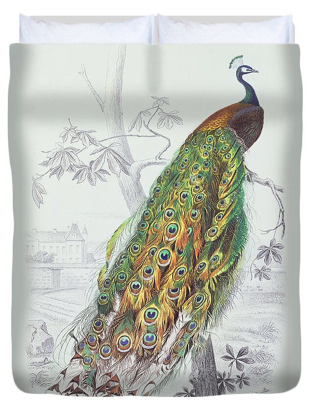 Peacock Duvet Cover featuring the painting The Peacock by A Fournier