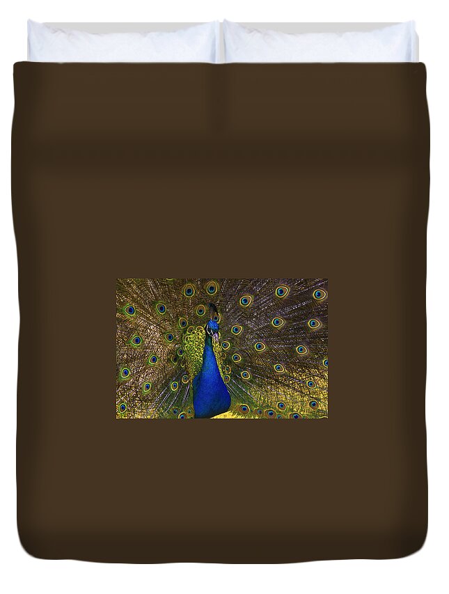 Peacock Duvet Cover featuring the photograph The Peacock by Anthony Davey
