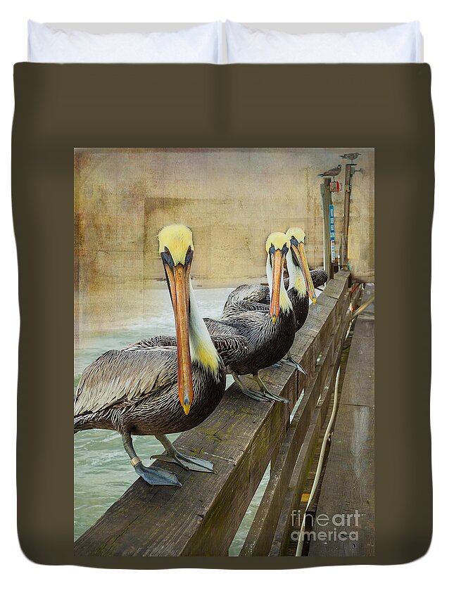 Nature Duvet Cover featuring the photograph The Pelican Gang by Steven Reed