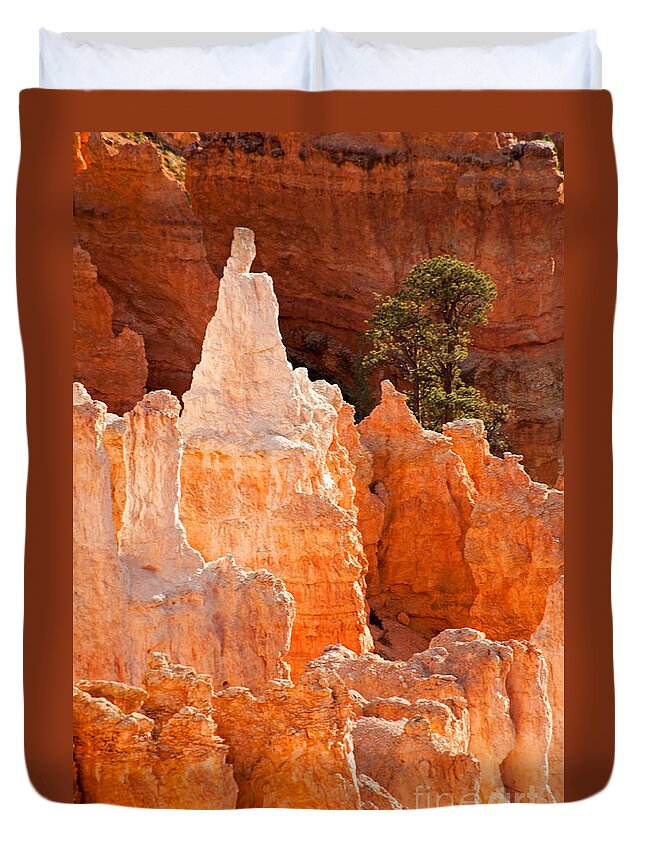 Bryce Canyon Duvet Cover featuring the photograph The Pope Sunrise Point Bryce Canyon National Park by Fred Stearns