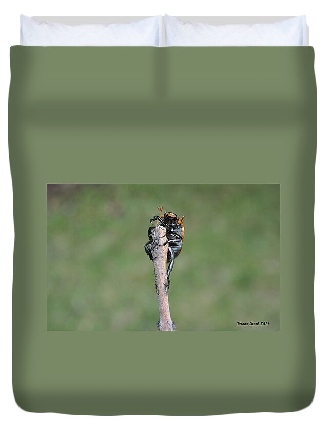 Beetle Duvet Cover featuring the photograph The Posing Beetle by Verana Stark