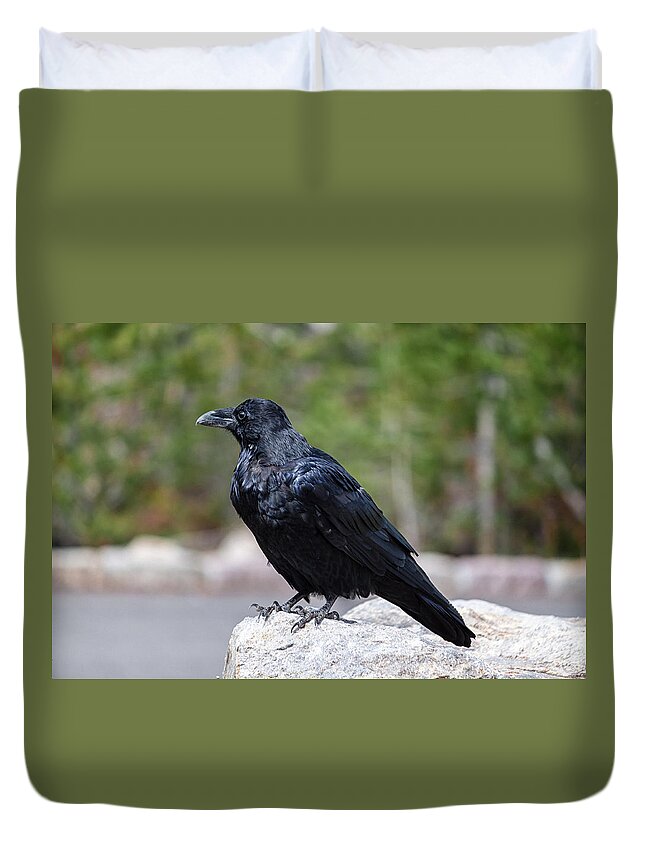 Wyoming Duvet Cover featuring the photograph The Raven by Lars Lentz