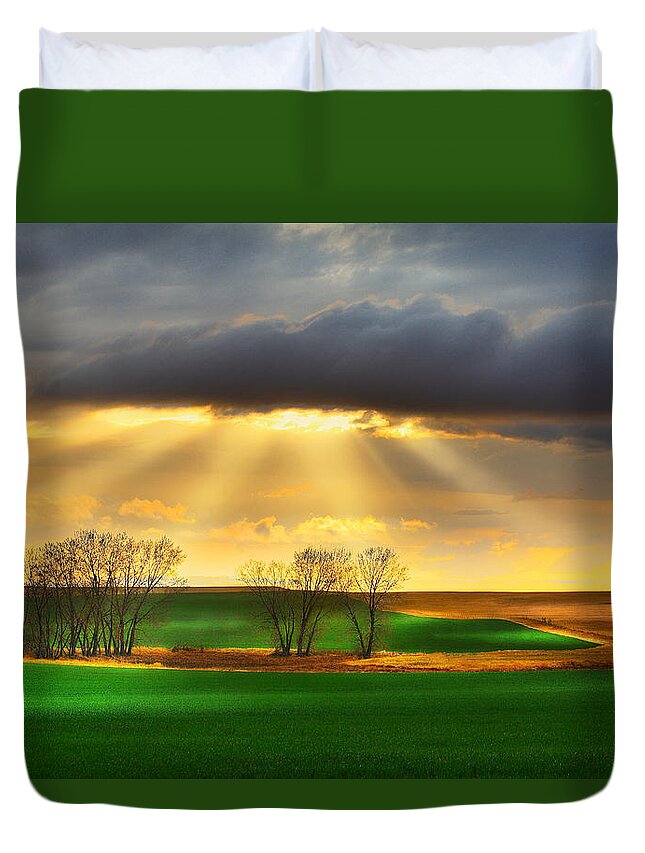 Light Duvet Cover featuring the photograph The Ray Of Light by Kadek Susanto