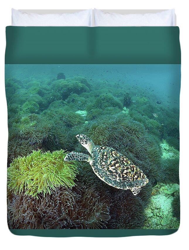 Underwater Duvet Cover featuring the photograph The Sea Turtle On Anemone Field by Kampee Patisena