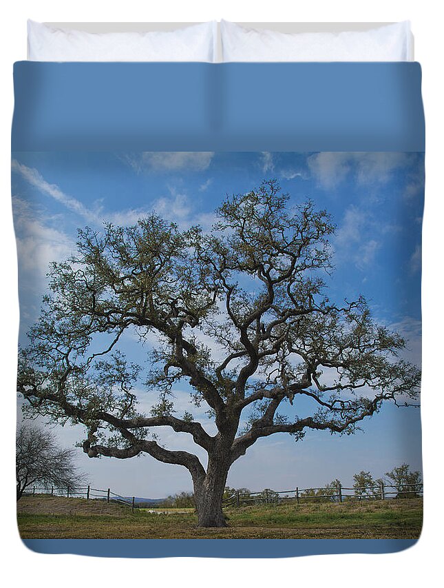 Texas Live Oak Duvet Cover featuring the photograph The Sentinel by Jemmy Archer