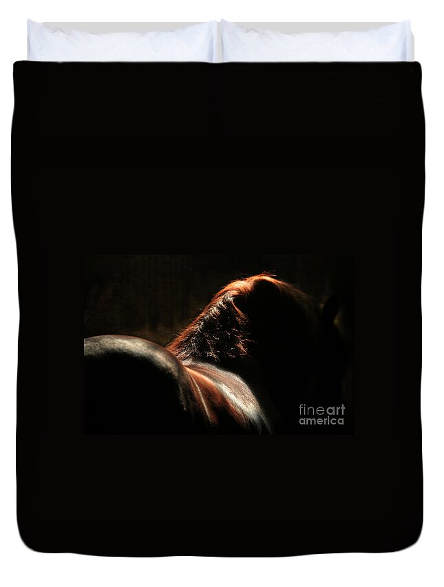 Horse Duvet Cover featuring the photograph The Silhouette by Ang El