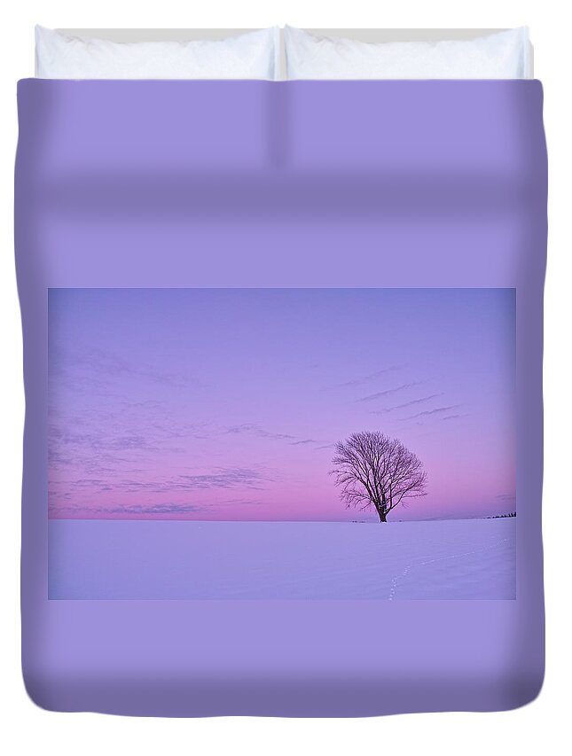 Scenics Duvet Cover featuring the photograph The Sky Of A Pastel Color, And A Lonely by Atsushi Hayakawa