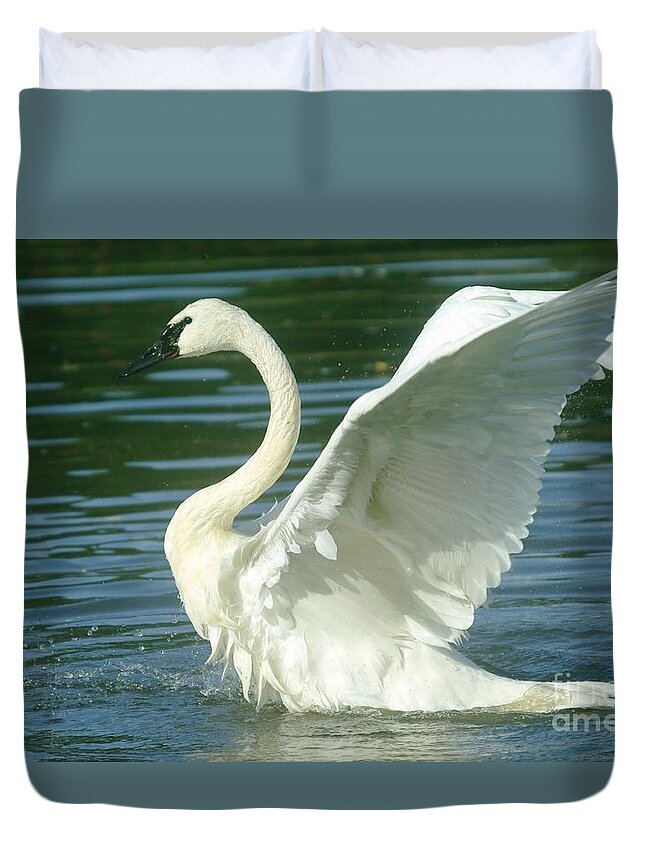 Swans Duvet Cover featuring the photograph The Swan Rises by Jeff Swan