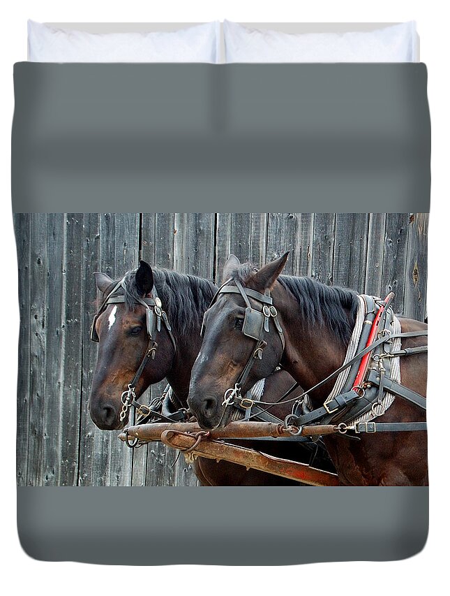 Horse Duvet Cover featuring the photograph The Team by Ron Haist