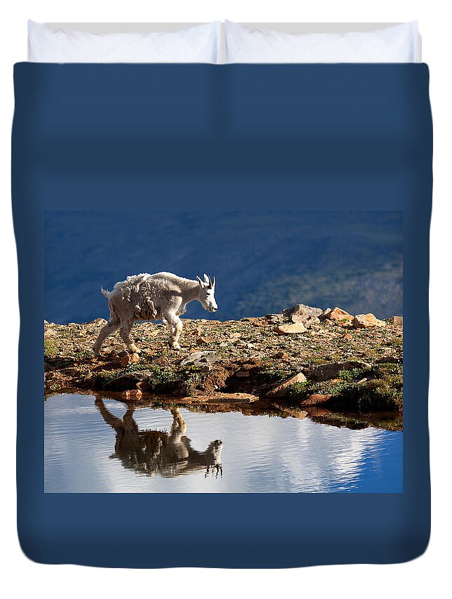 Mountain Goats Duvet Cover featuring the photograph The Walk-About by Jim Garrison