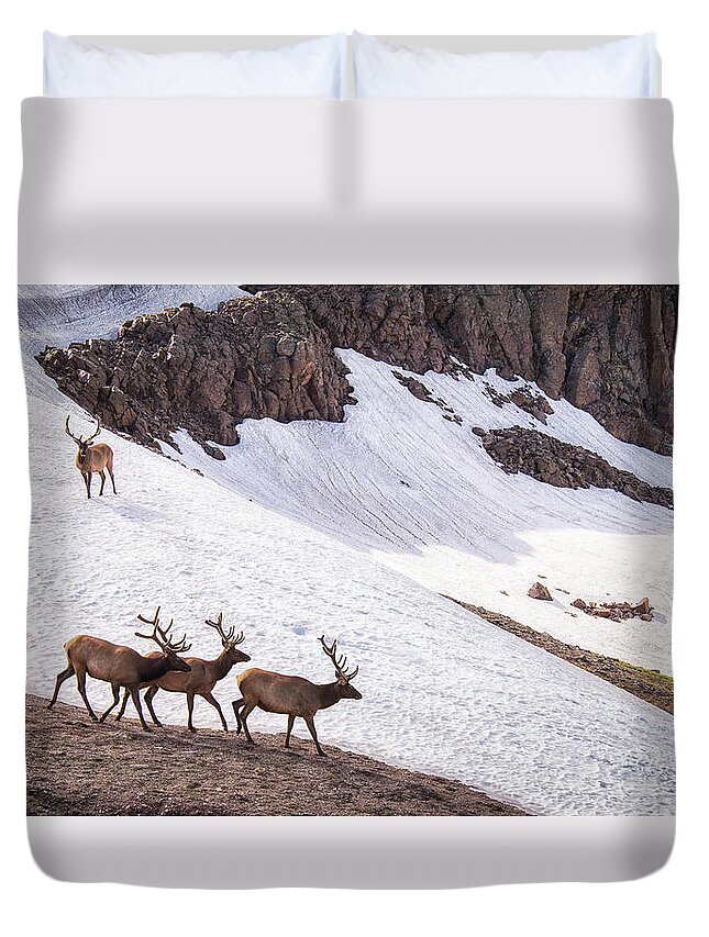 Colorado Duvet Cover featuring the photograph The Wanderers by Joe Ownbey