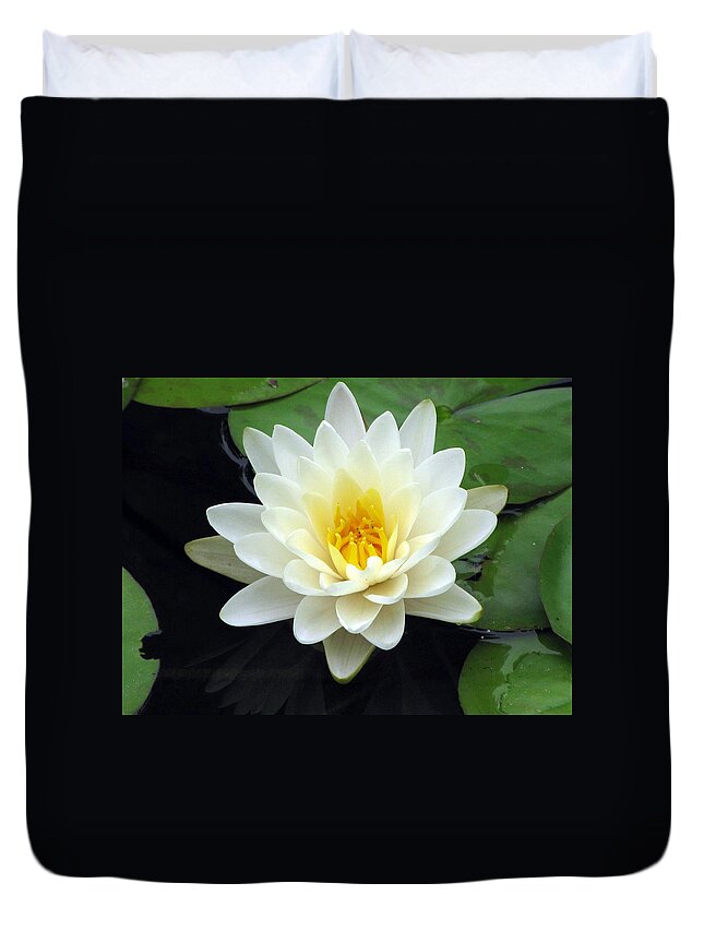 Water Lilies Duvet Cover featuring the photograph The Water Lilies Collection - 02 by Pamela Critchlow
