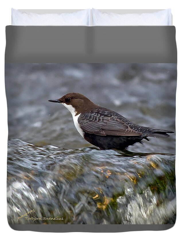 The White-throated Dipper Duvet Cover featuring the photograph The White-throated Dipper by Torbjorn Swenelius