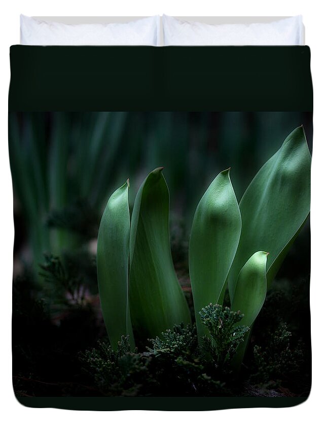 Garden Leaves Duvet Cover featuring the photograph The Wonders Of Spring by Michael Eingle