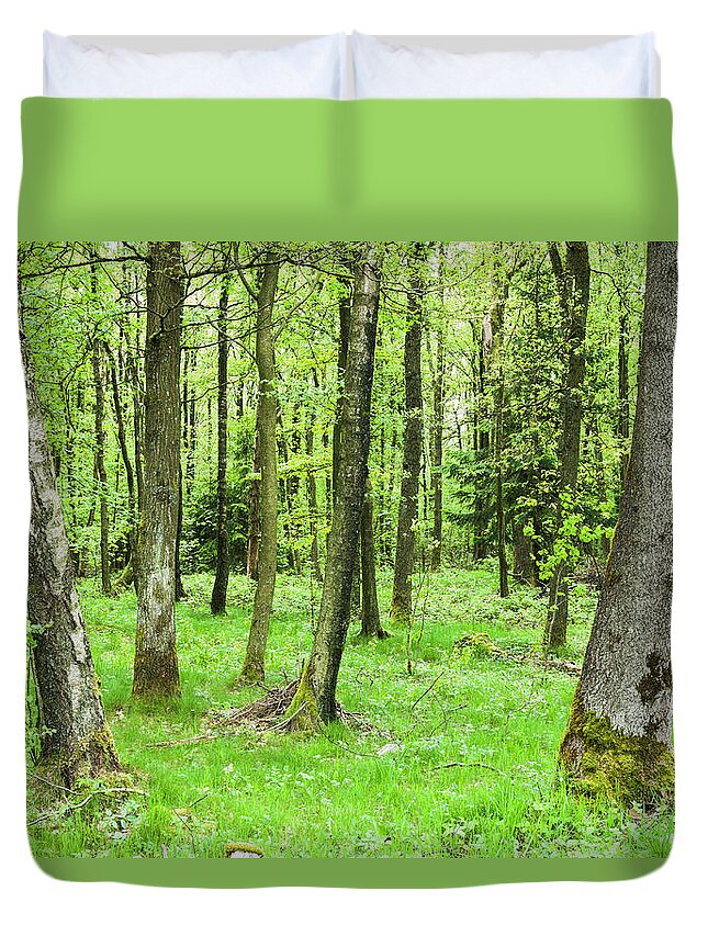 Scenics Duvet Cover featuring the photograph Thick Trees In Ardennes Forest, France by Mike Kemp Images