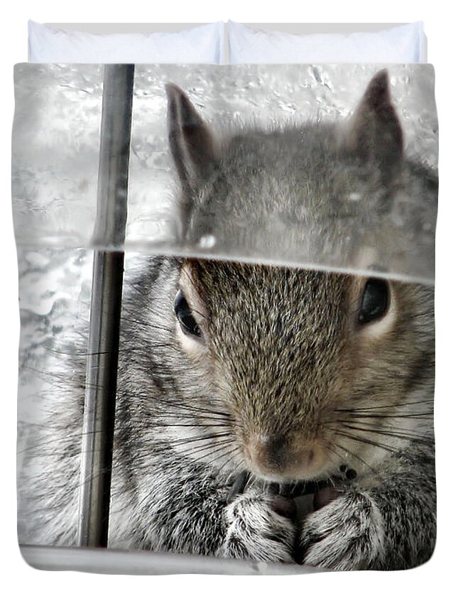 Squirrel Duvet Cover featuring the photograph Thief In The Birdfeeder by Rory Siegel
