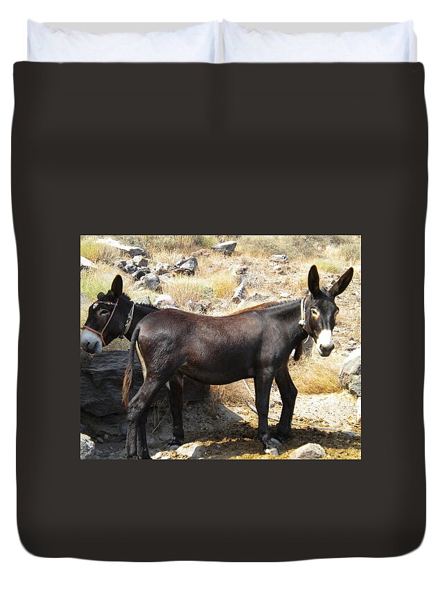 Colette Duvet Cover featuring the photograph Thirasia Donkeys Santorini Greece by Colette V Hera Guggenheim