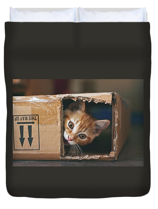 Pets Duvet Cover featuring the photograph This Way Up by Image By Chris Winsor
