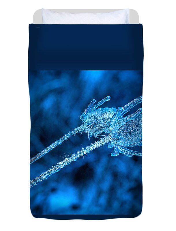 Thistle Duvet Cover featuring the photograph Thistle plant on icy night by Les Palenik