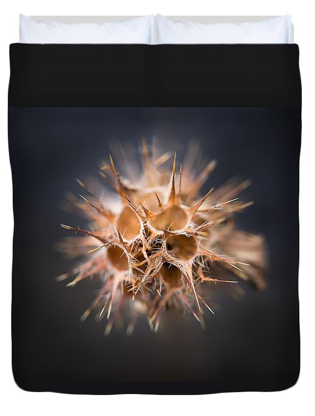 Autumn Duvet Cover featuring the photograph Thorny by Jakub Sisak