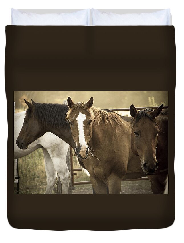 Made In America Duvet Cover featuring the photograph Three Amigos by Steven Bateson